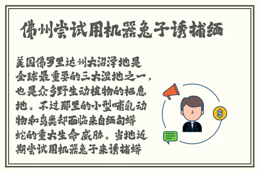 果冻传媒邓玉莲还有啥作品